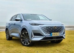 国产20p,引领科技潮流的创新之作