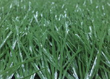 草国产,探寻自然与文化的交融之地