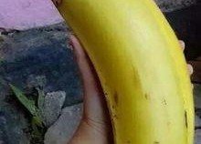 国产情侣大香蕉,甜蜜瞬间，浪漫满溢