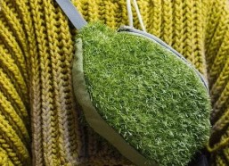 青青青草国产免费,国产影视的清新之作